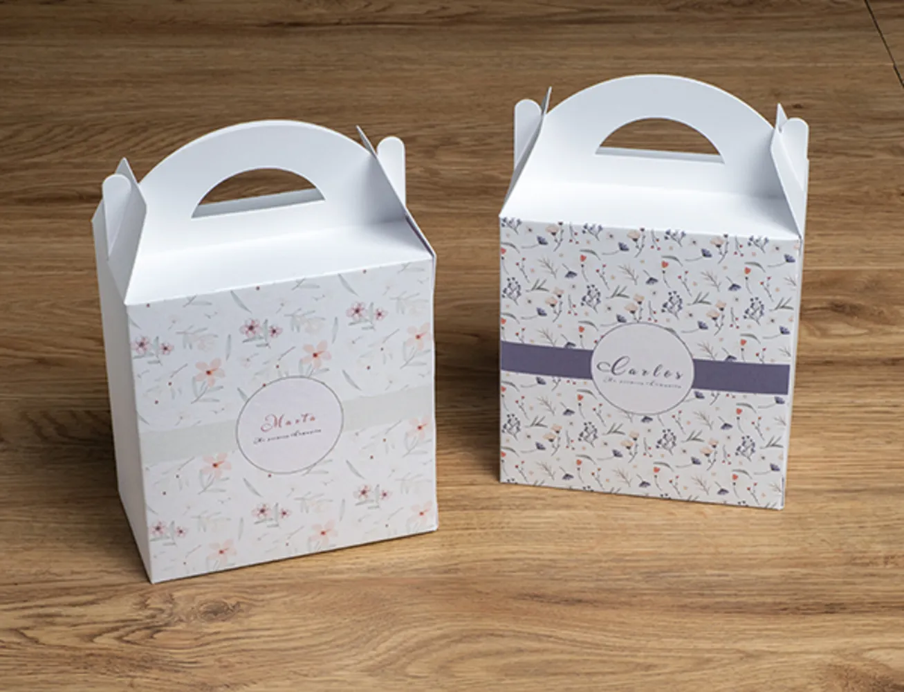 CAJA CHUCHES