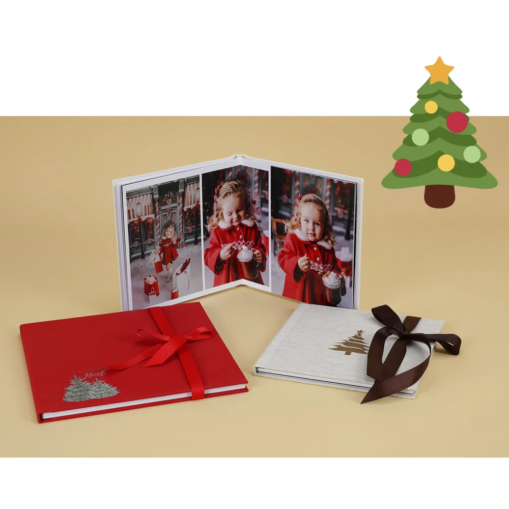 Eco Christmas Book