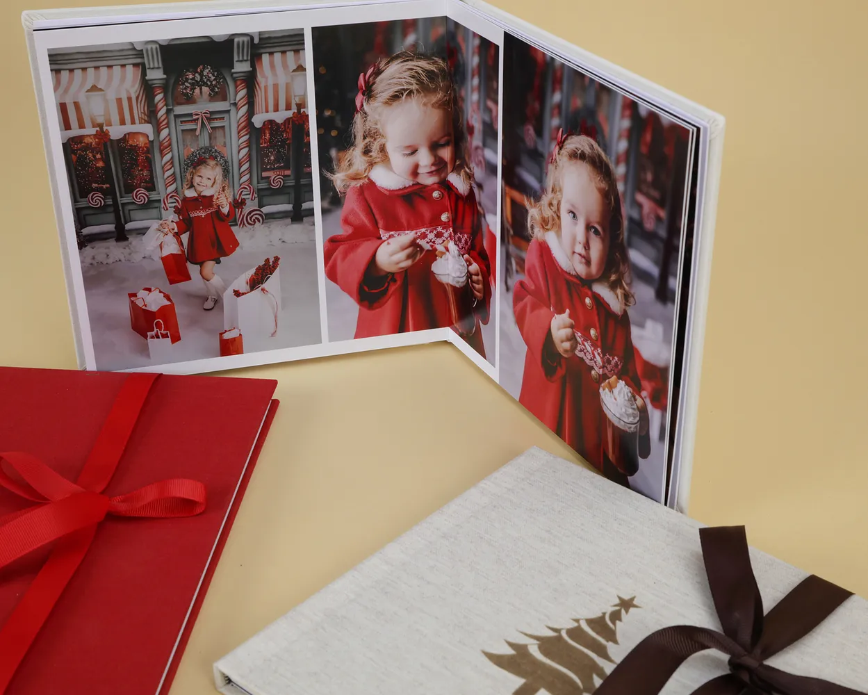 Eco Christmas Book