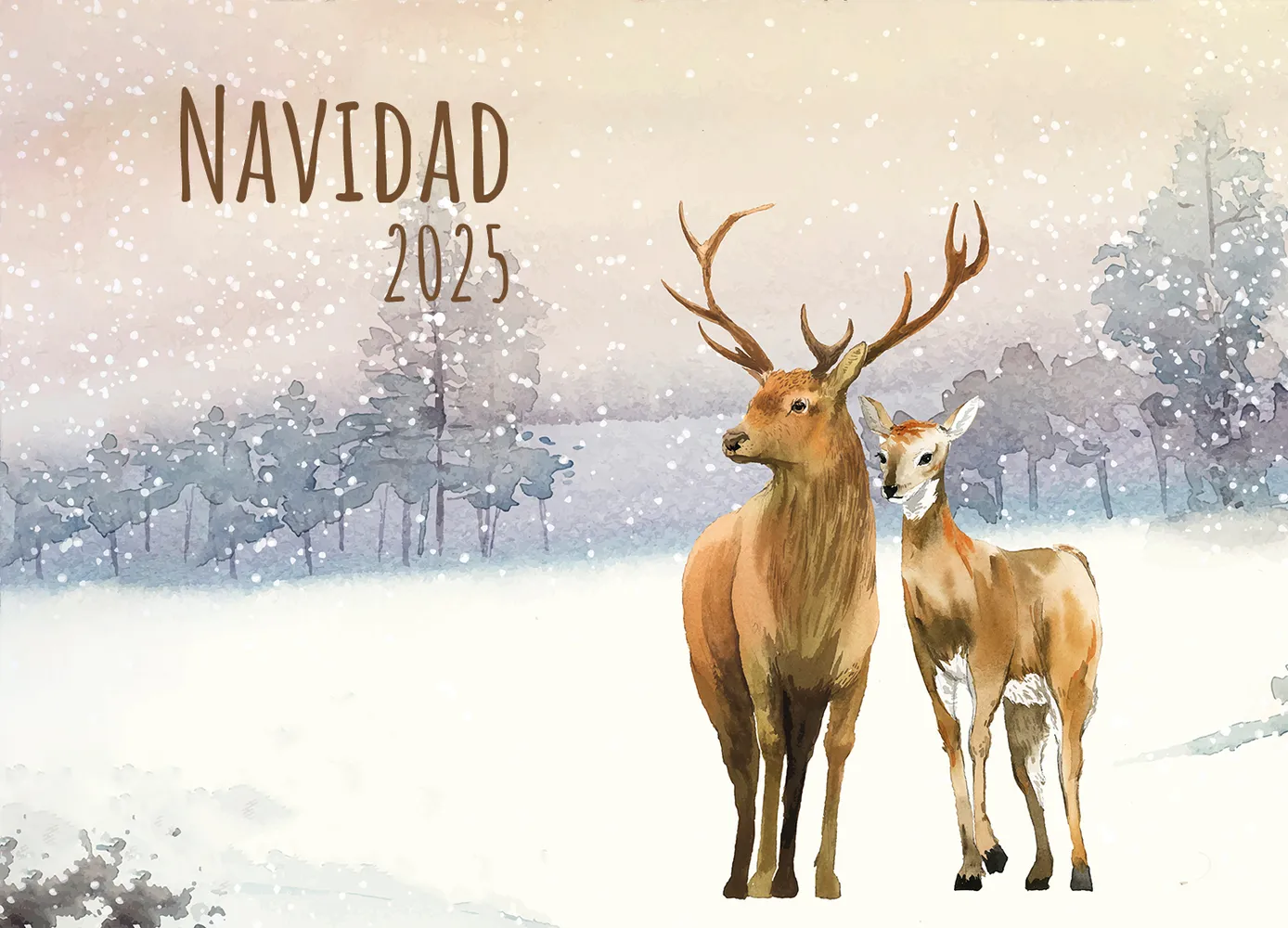 Navidad