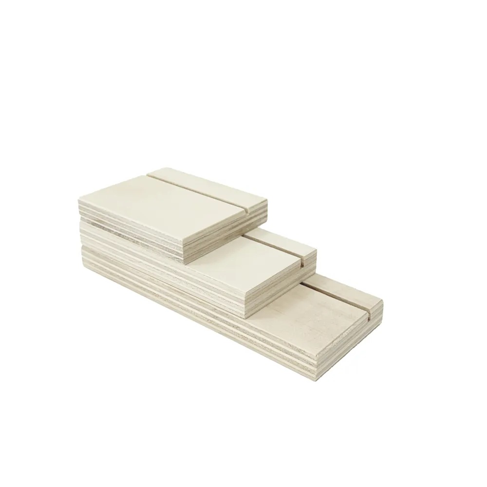 Base Alicia Basic