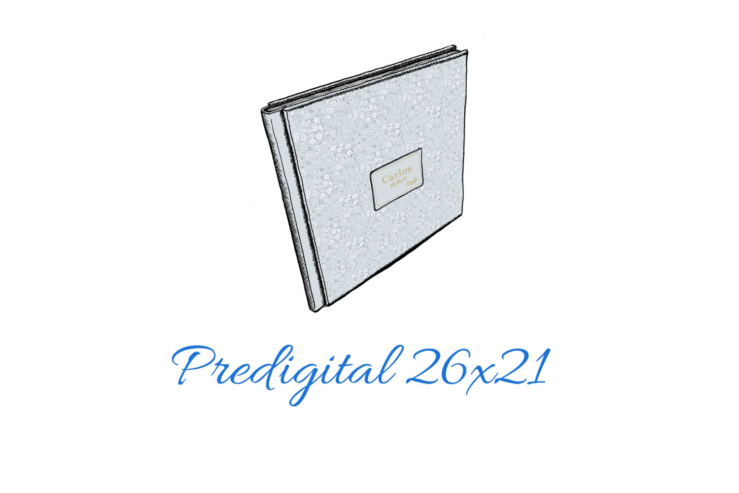 Predigital 26x21